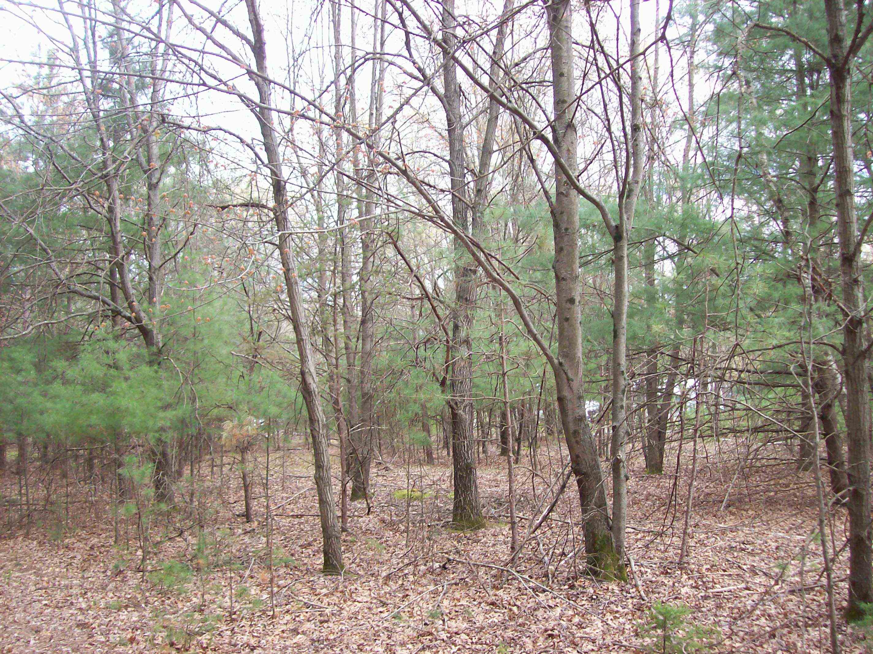Lot 3 Meiller Montello, WI 53949 - Photo 3 of 5