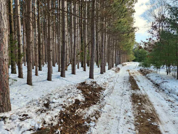 $30,950 | Lot 3 Meiller, Montello, WI 53949