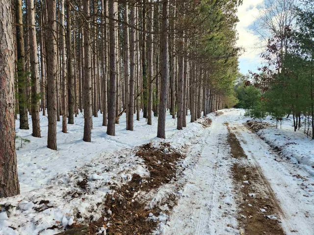 $30,950 | Lot 3 Meiller, Montello, WI 53949