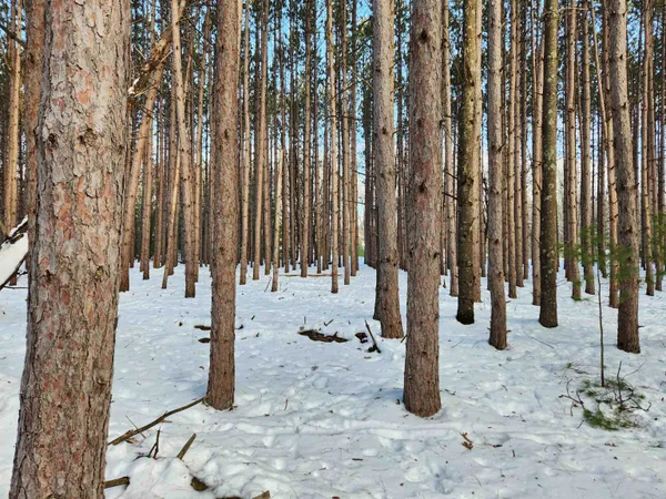 $30,950 | Lot 3 Meiller, Montello, WI 53949