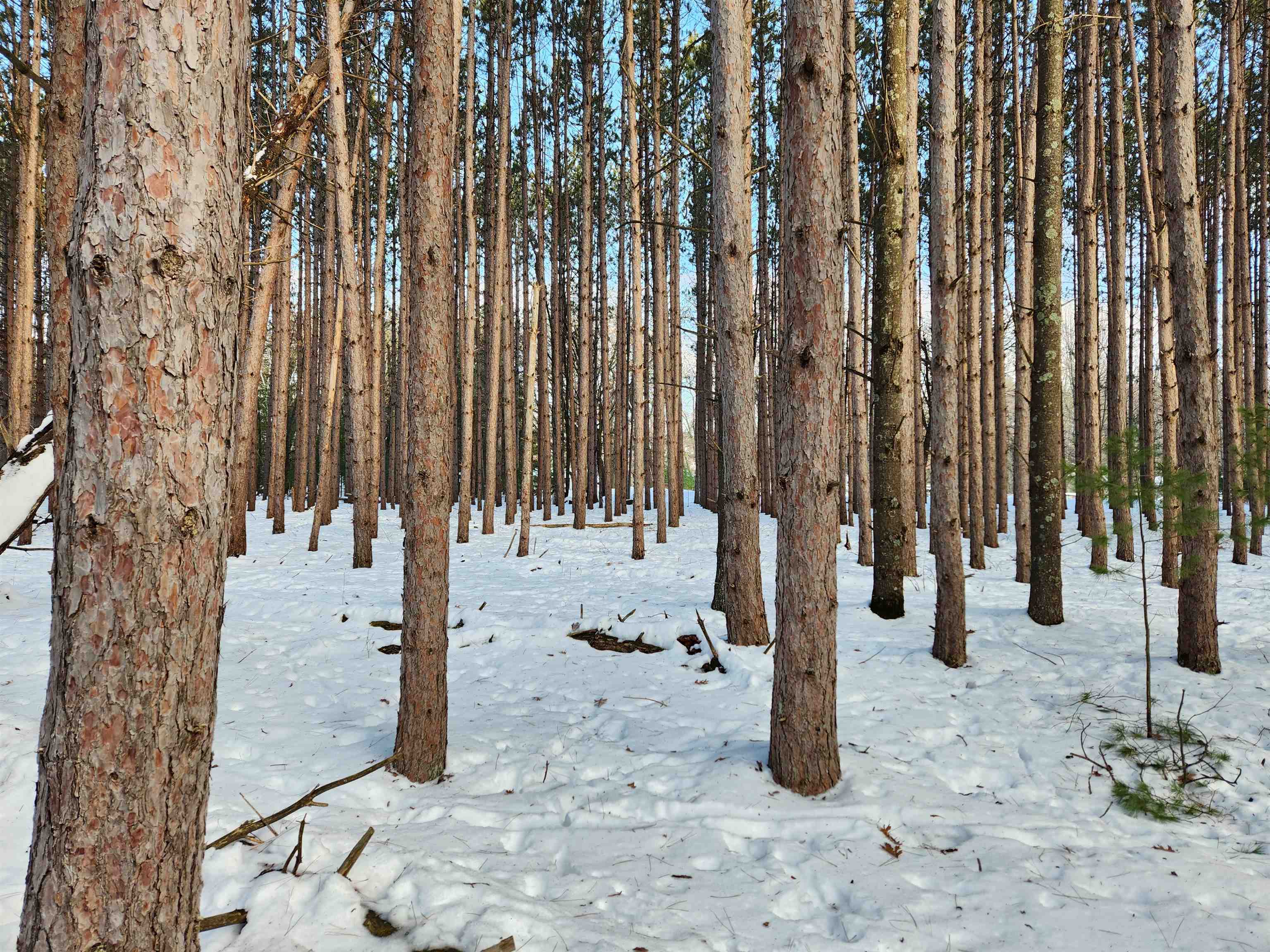 Lot 3 Meiller Montello, WI 53949 - Photo 4 of 6