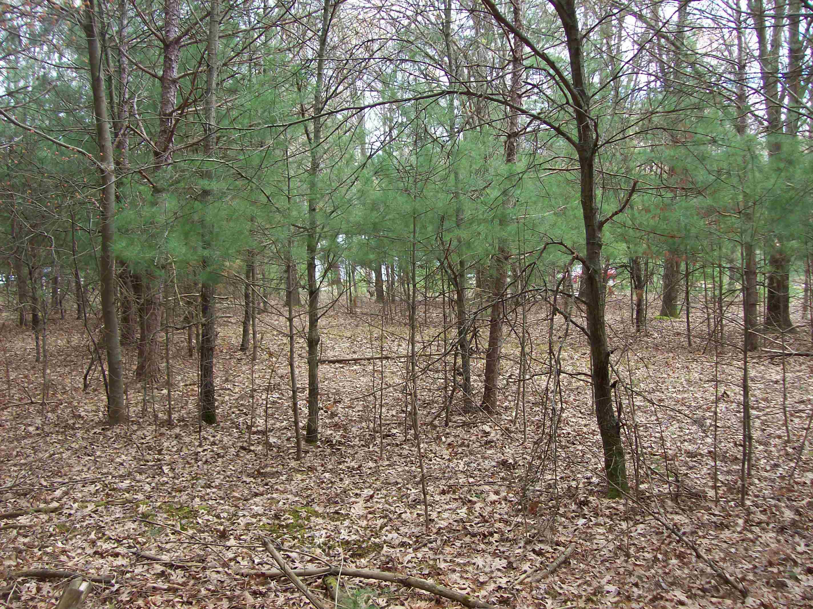 Lot 3 Meiller Montello, WI 53949 - Photo 4 of 5