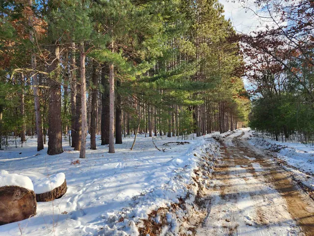 $30,950 | Lot 3 Meiller, Montello, WI 53949