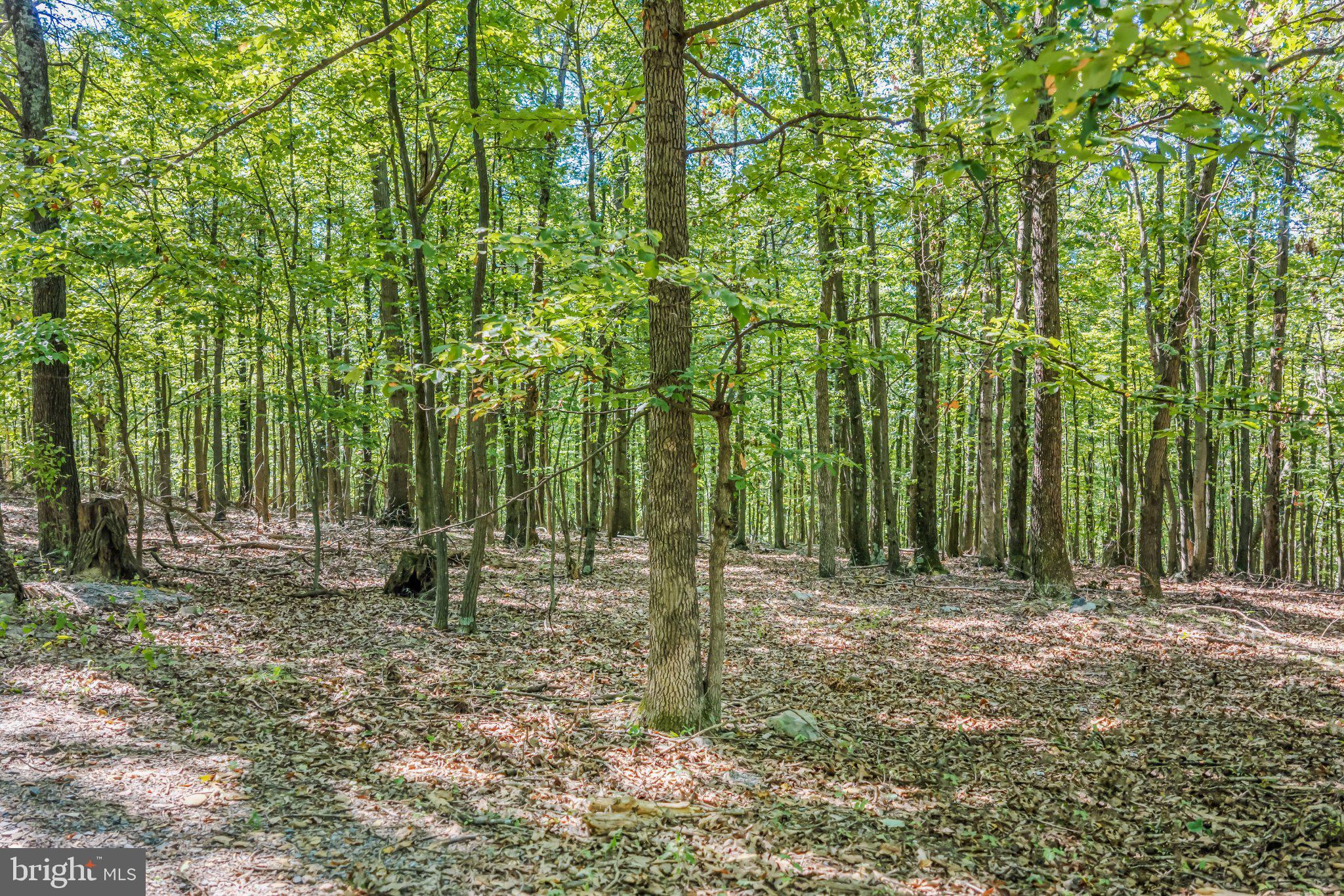 Farm View Lane Romney, WV 26757 - Photo 6 of 9 Lot 19