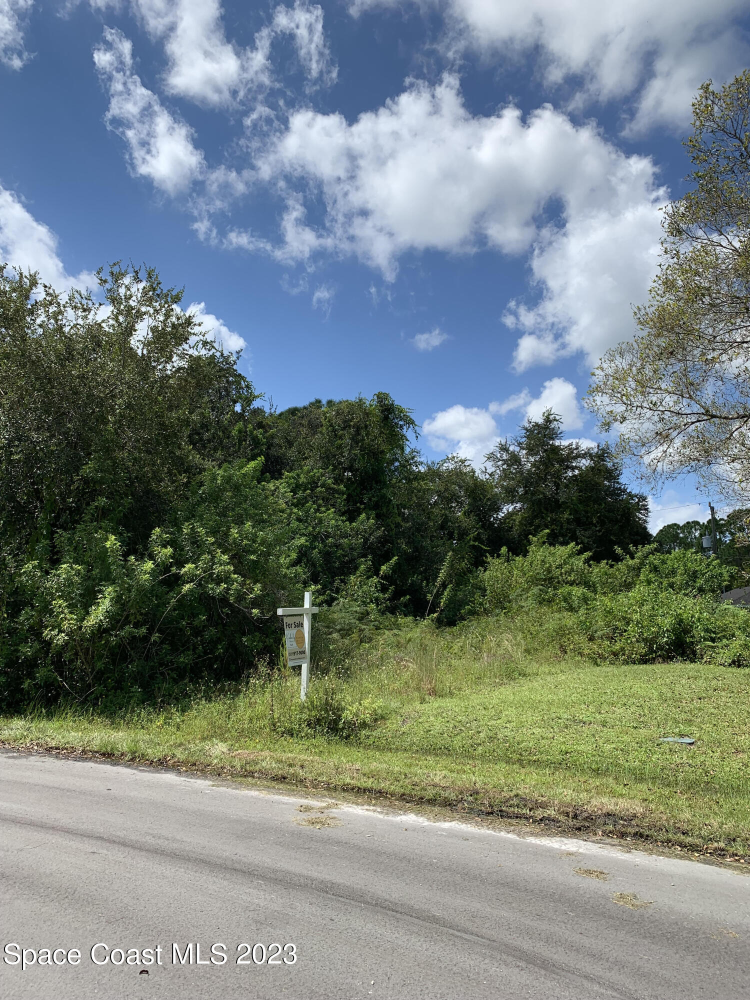 378 Warner Road Southwest Palm Bay, FL 32908 - Photo 4 of 9 a view of a yard with flower plants and large trees