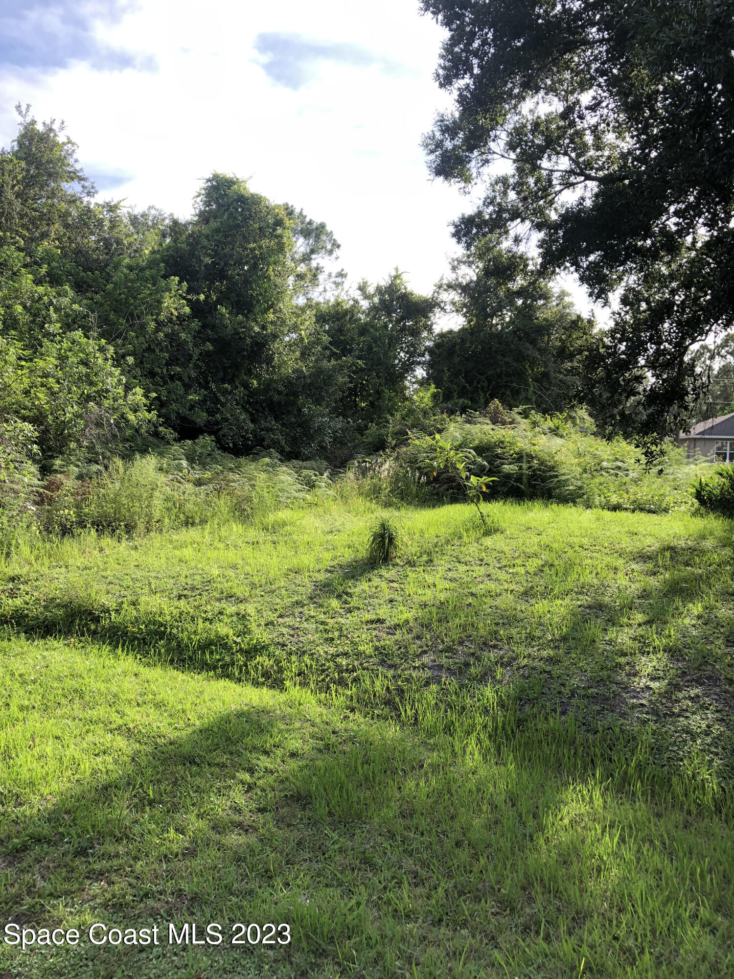 378 Warner Road Southwest Palm Bay, FL 32908 - Photo 5 of 9 a view of yard with green space
