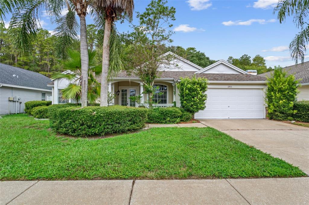 1203 Mazarion Place New Port Richey, FL 34655 - Photo 1 of 1