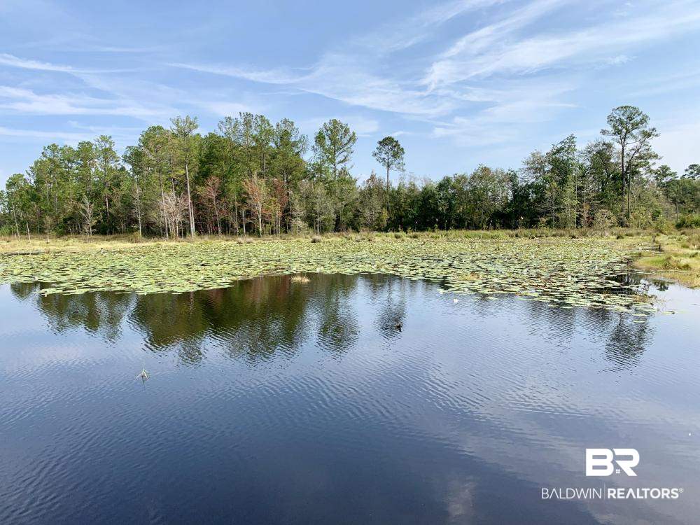 0 Country Road Mobile, AL 36608 - Photo 25 of 27