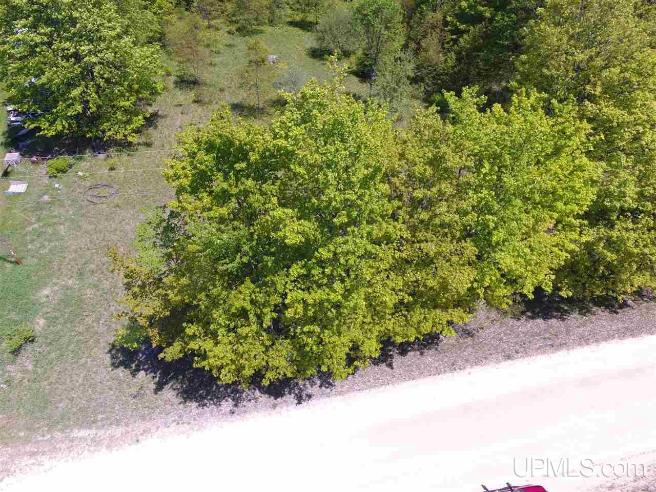 Tbd Tbd Akkala Road Eben Junction, MI 49825 - Photo 2 of 12
