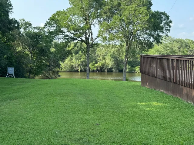 a view of a backyard with a garden and trees