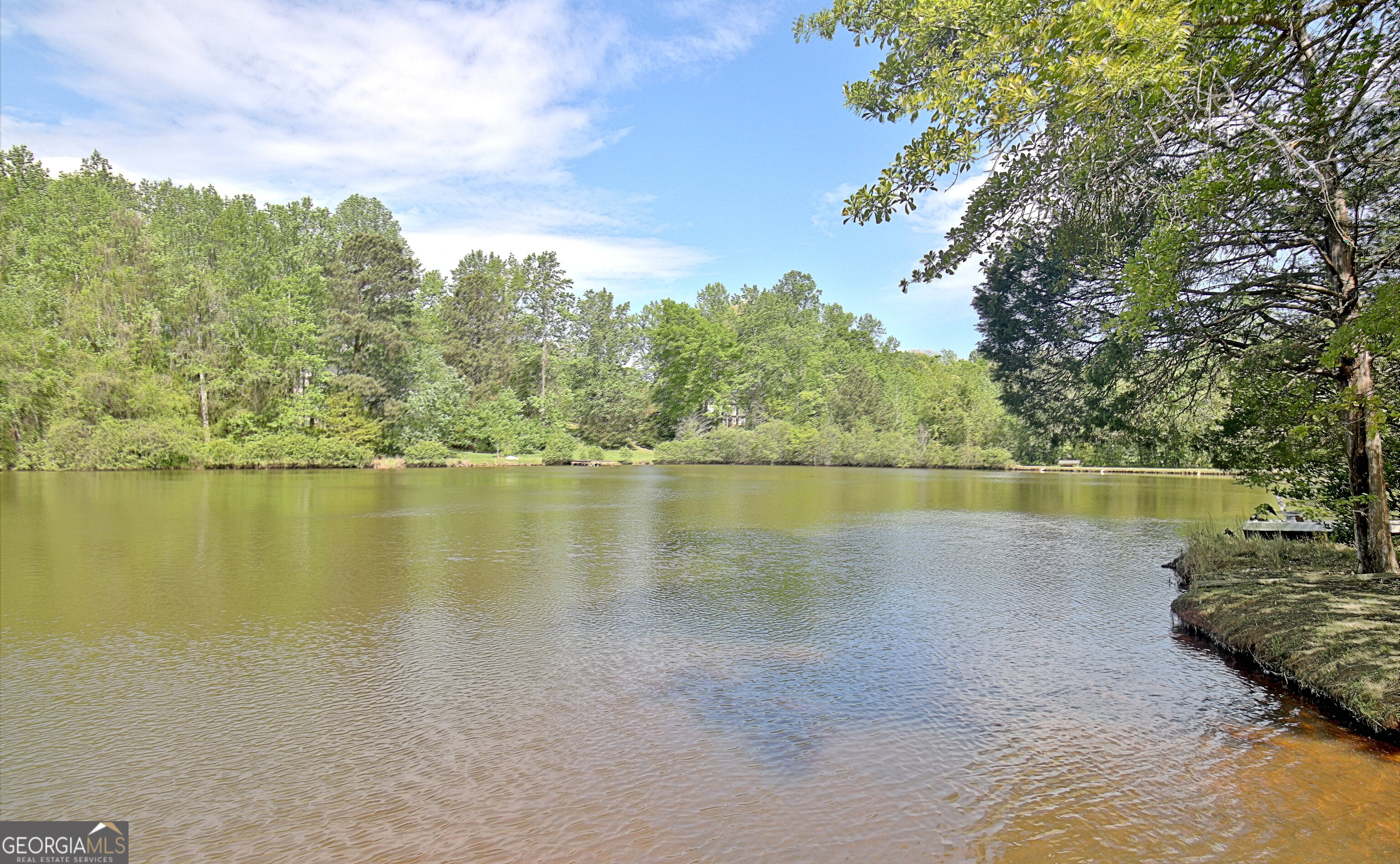 110 Sunset Court Senoia, GA 30276 - Photo 111 of 118