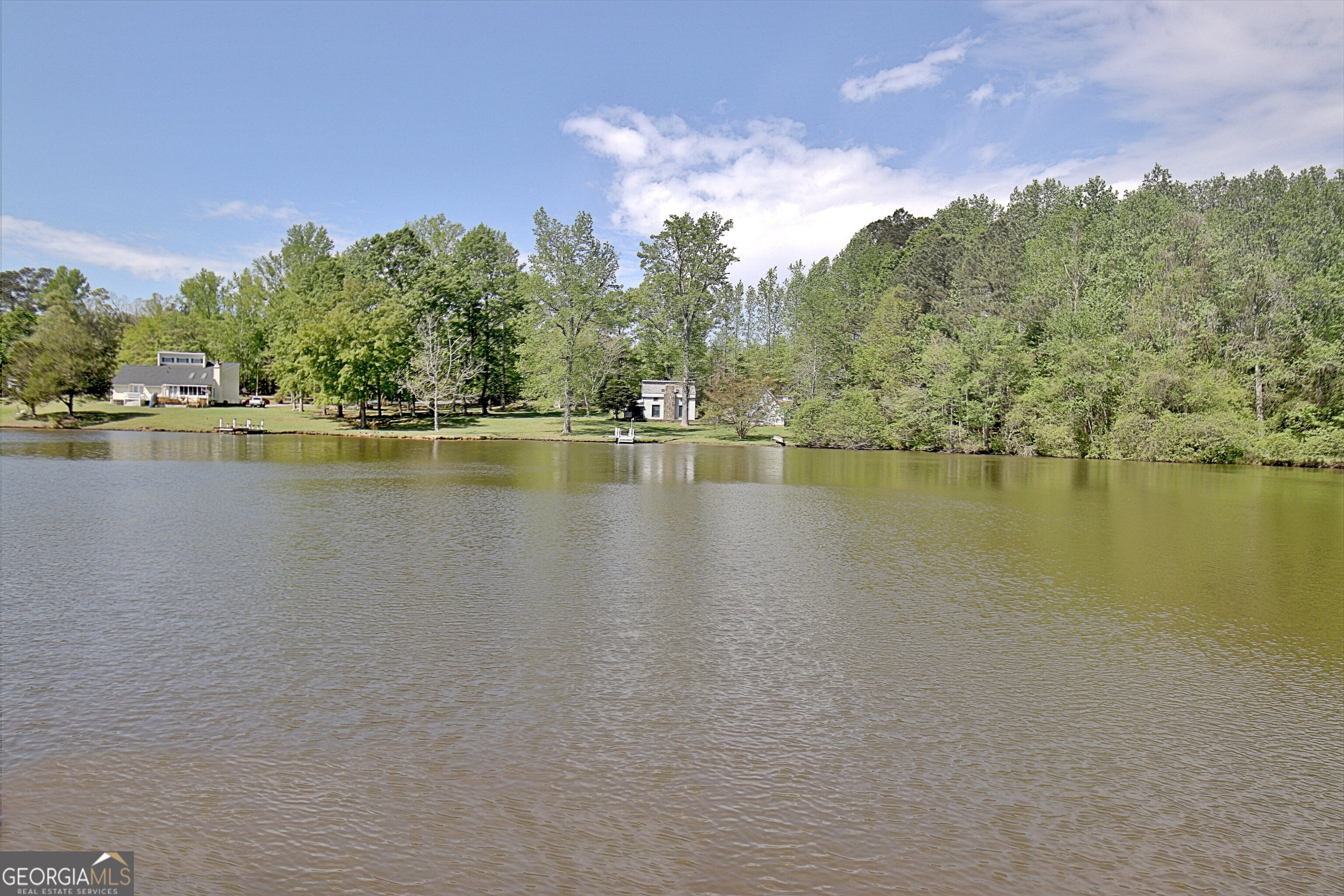 110 Sunset Court Senoia, GA 30276 - Photo 112 of 118 a view of a lake with houses in the back