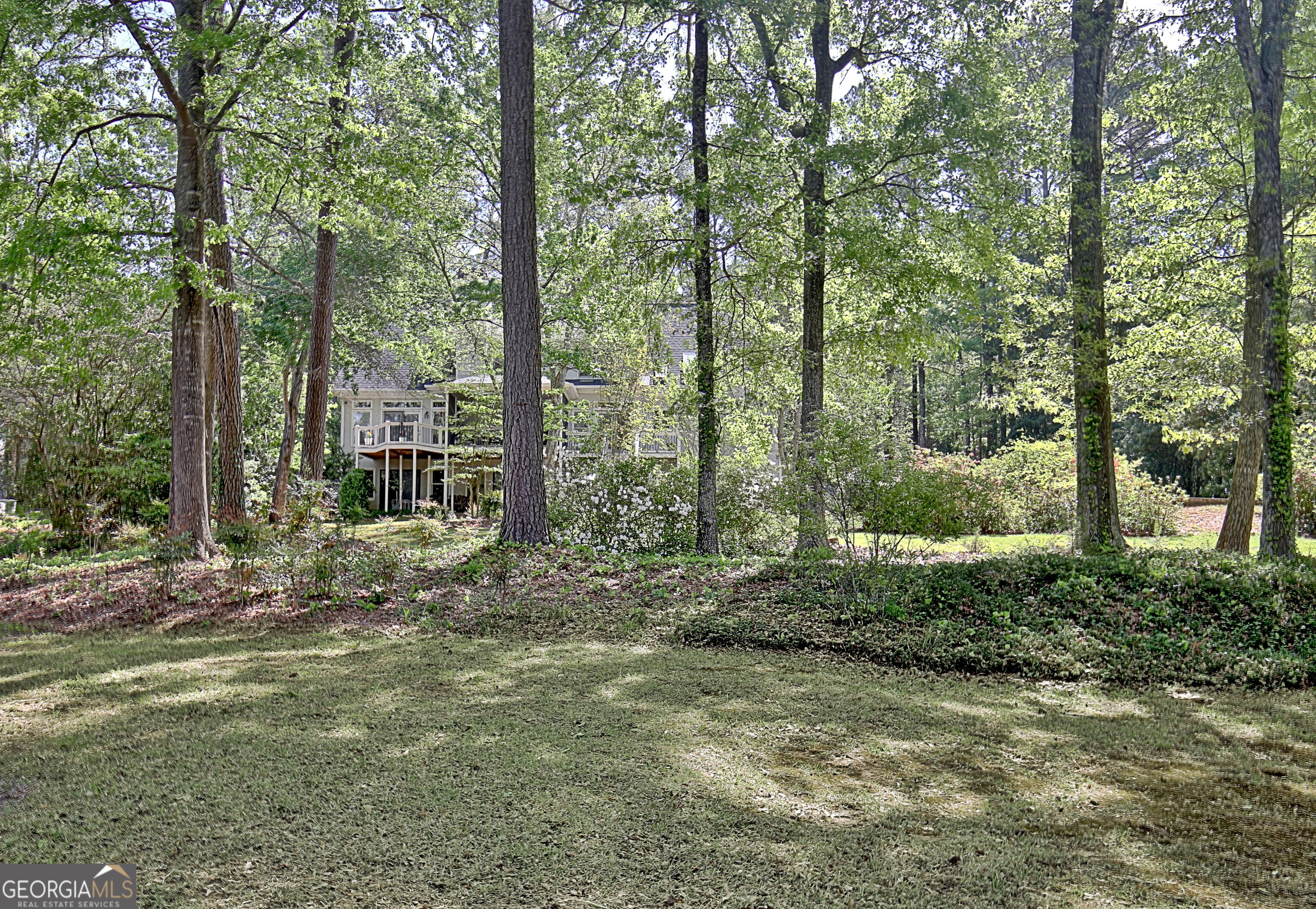 110 Sunset Court Senoia, GA 30276 - Photo 114 of 118 a view of a forest with trees in the background