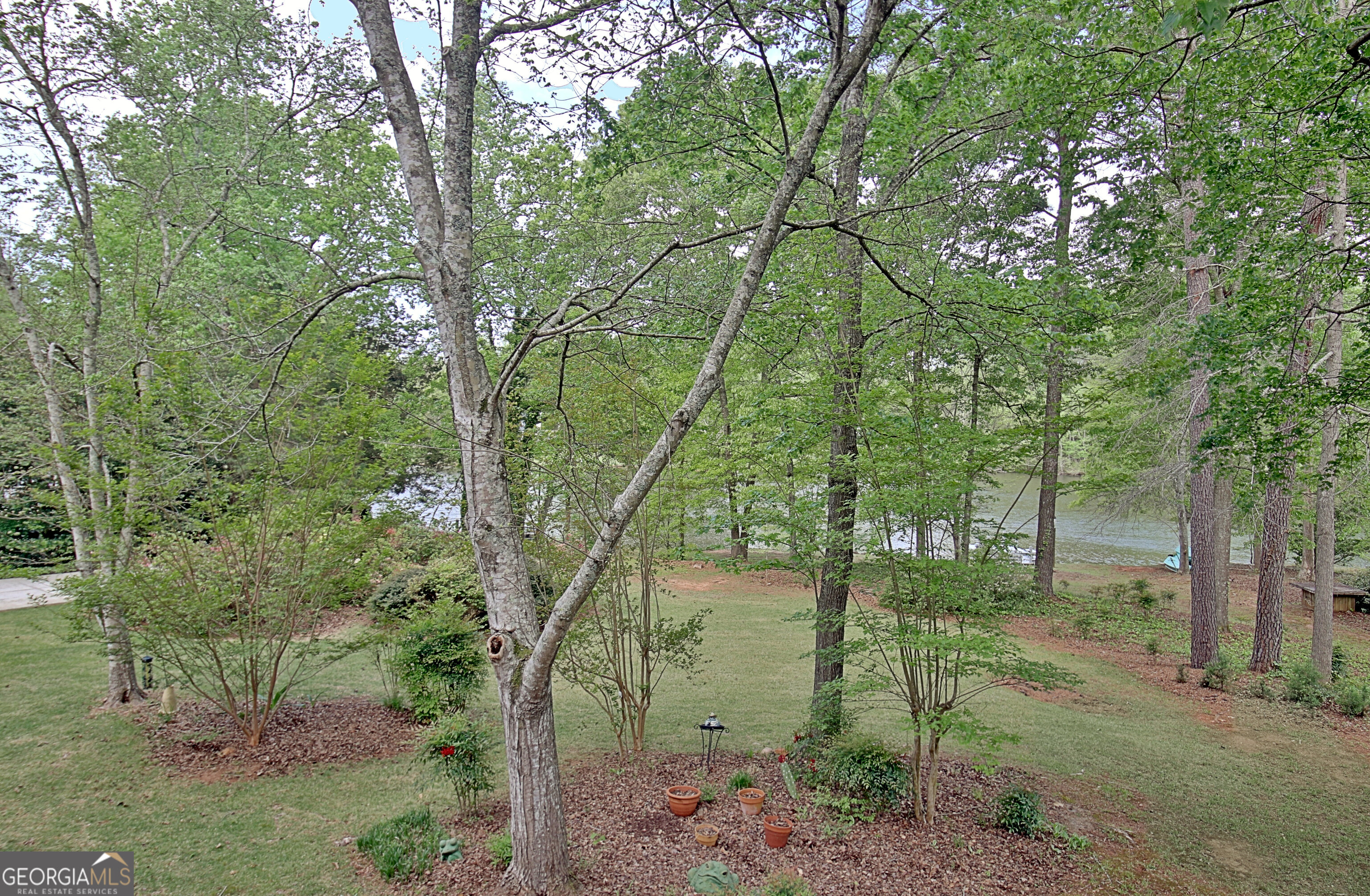 110 Sunset Court Senoia, GA 30276 - Photo 118 of 118 a backyard of a house with lots of green space