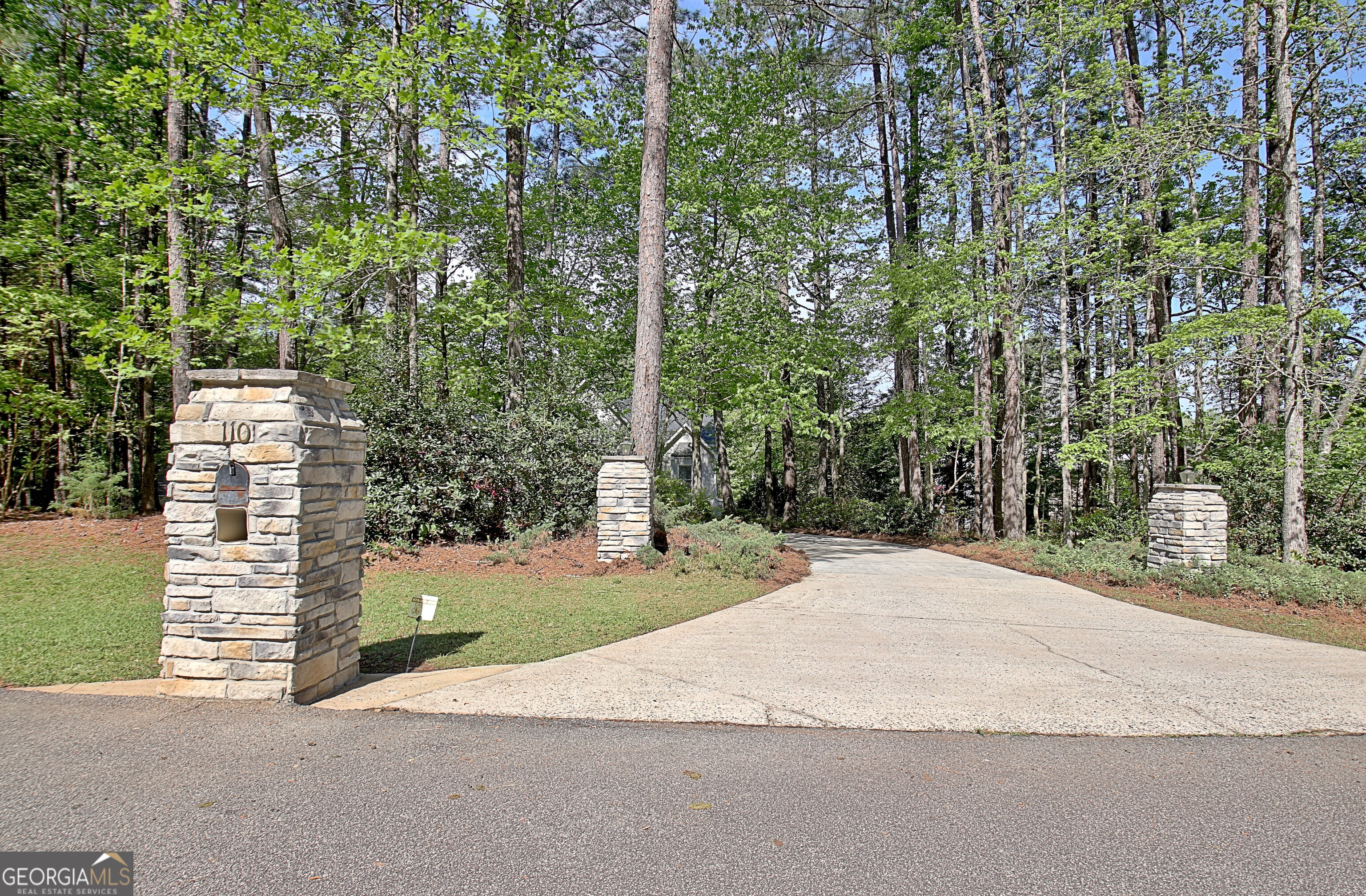 110 Sunset Court Senoia, GA 30276 - Photo 2 of 118