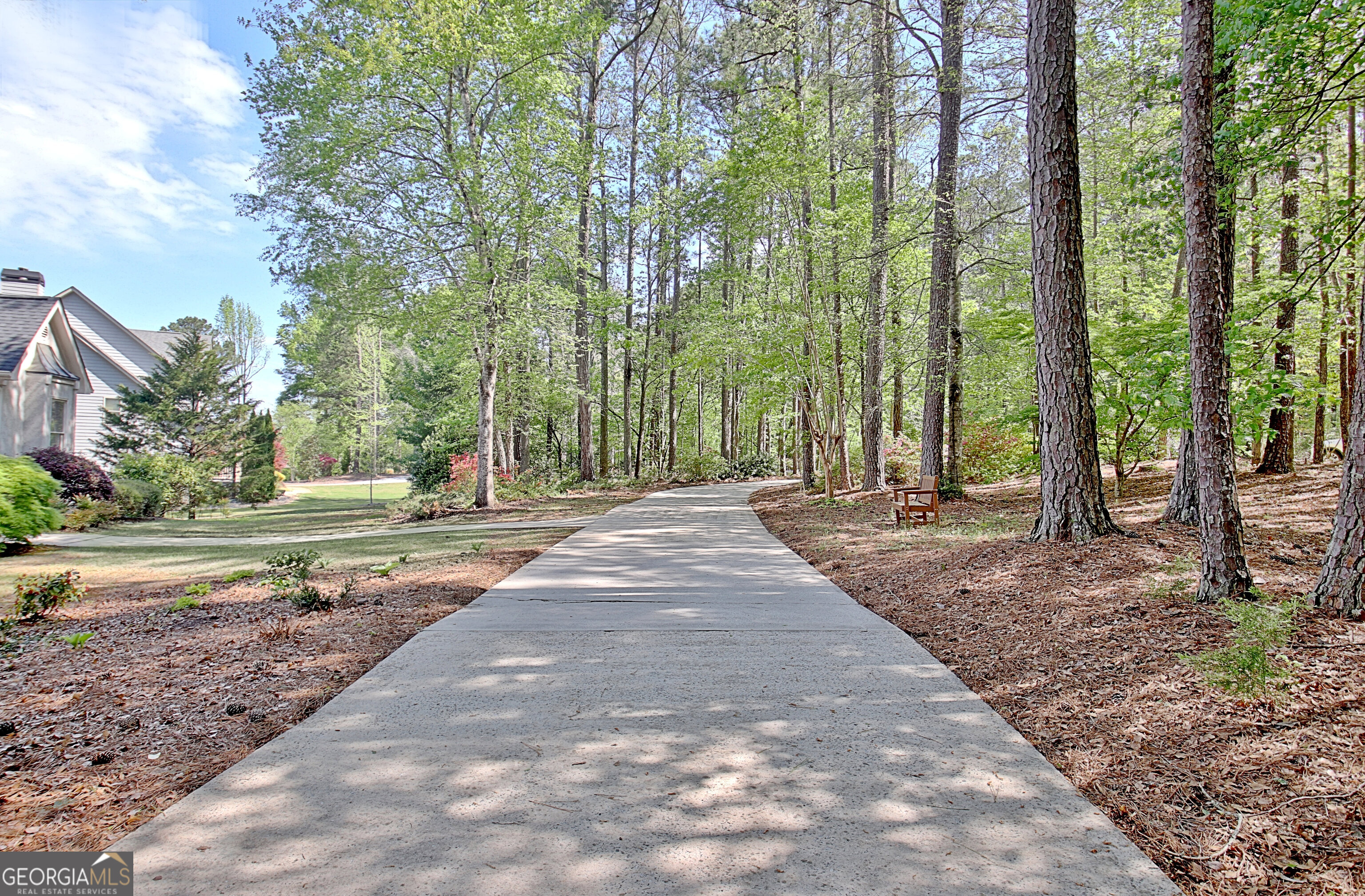 110 Sunset Court Senoia, GA 30276 - Photo 6 of 118 a view of a backyard with trees