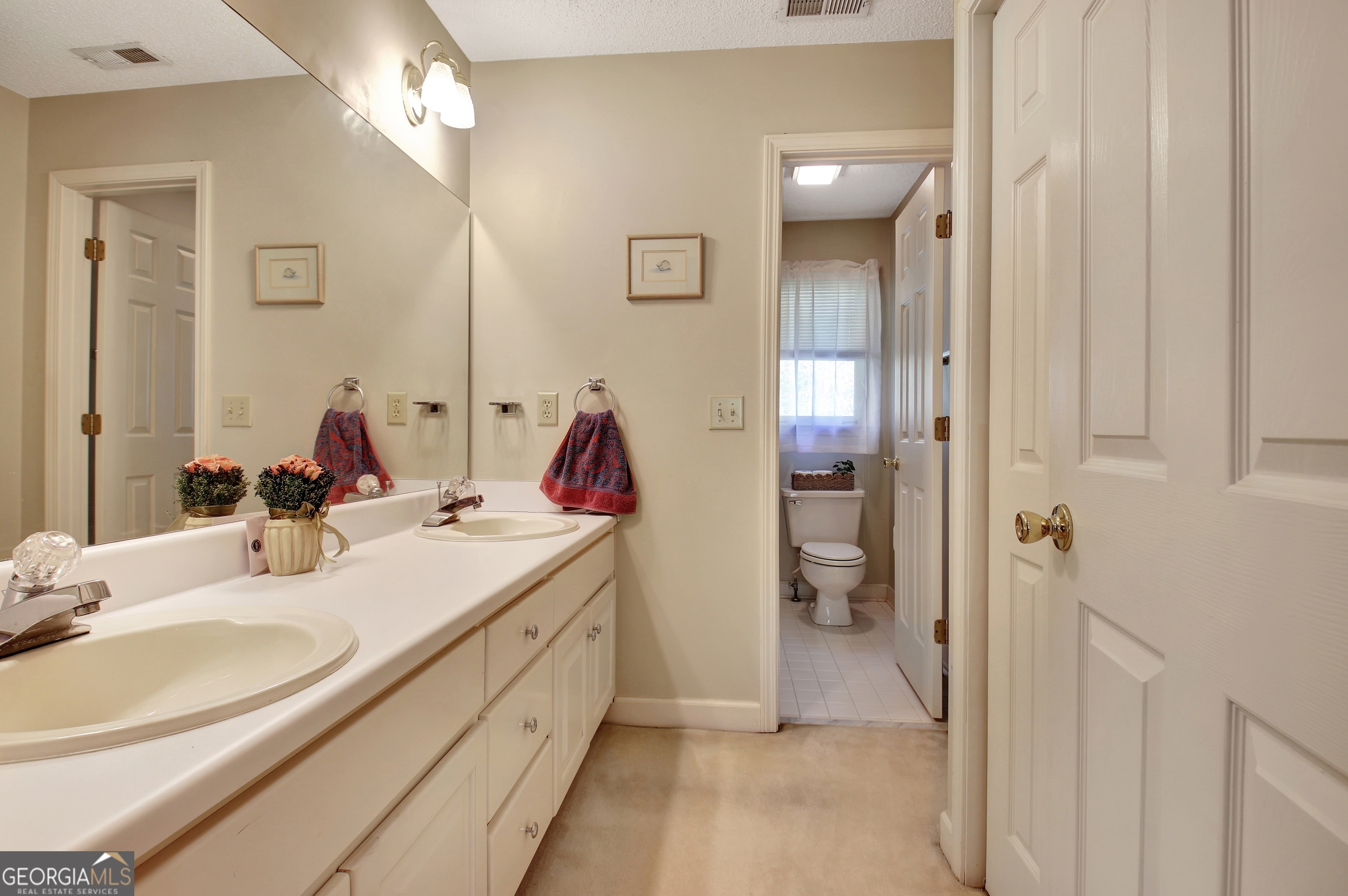 110 Sunset Court Senoia, GA 30276 - Photo 77 of 118 a en suite bathroom with a double vanity sink and a mirror