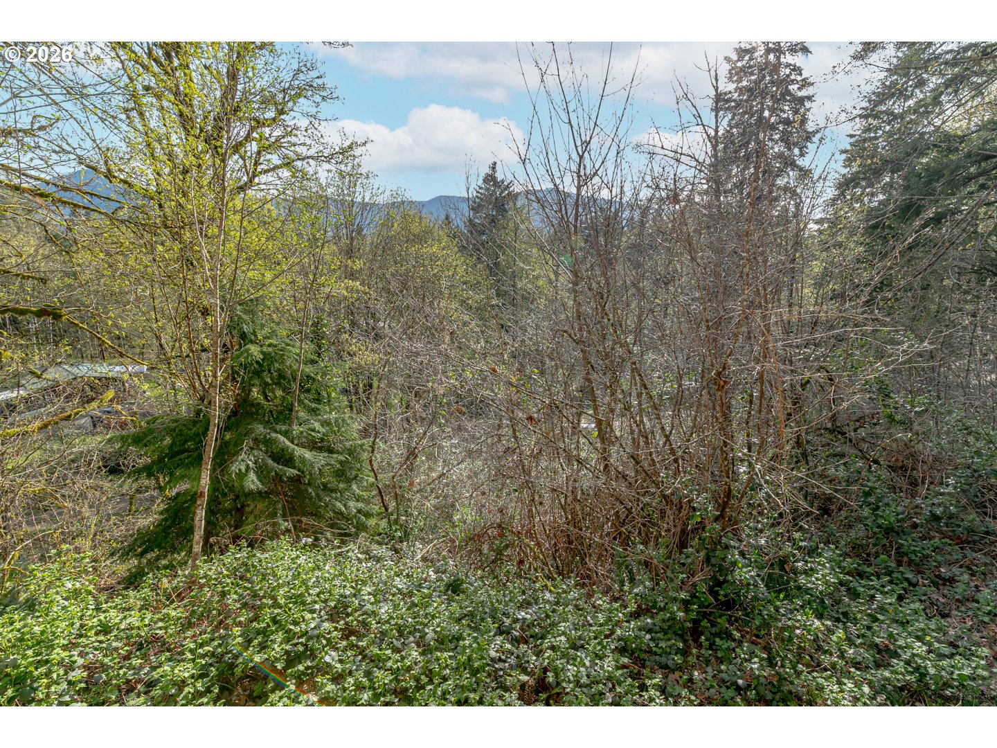 64636 Mc Intyre Road Rhododendron, OR 97049 - Photo 38 of 48 a view of a back yard
