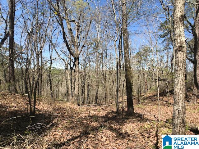 O Ridge Road, Unit 10 ACRES Odenville, AL 35120 - Photo 15 of 18 Gallery Image 15