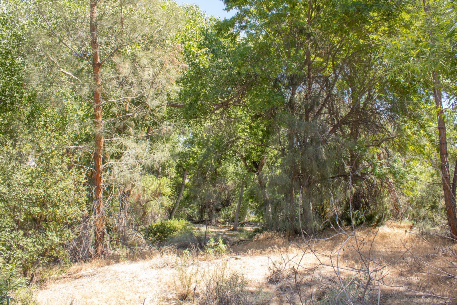 0 Burlando Road Kernville, CA 93238 - Photo 8 of 15
