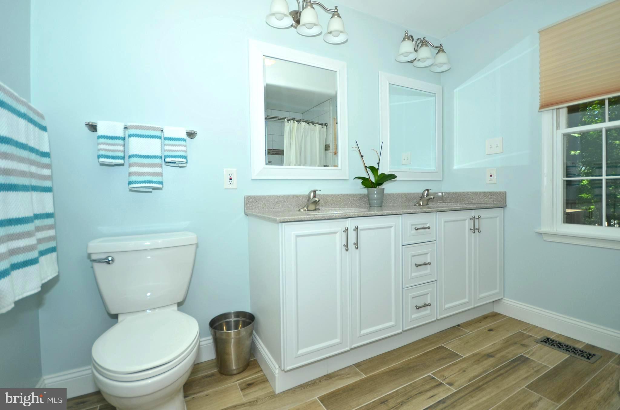 12612 Timber Grove Road Reisterstown, MD 21136 - Photo 15 of 28 Jetted Tub!