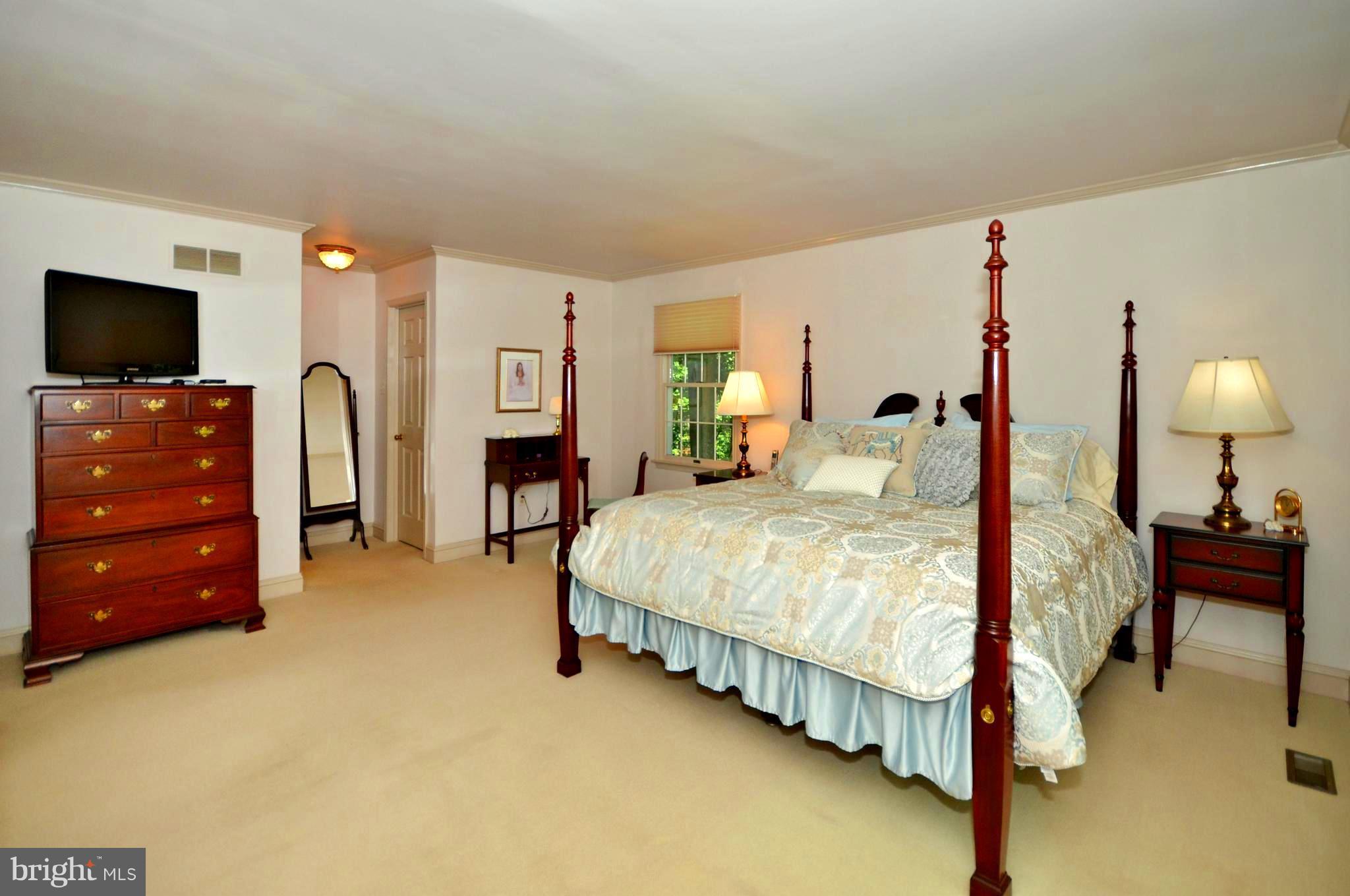 12612 Timber Grove Road Reisterstown, MD 21136 - Photo 16 of 28 Bedroom (Master) 1st Floor!