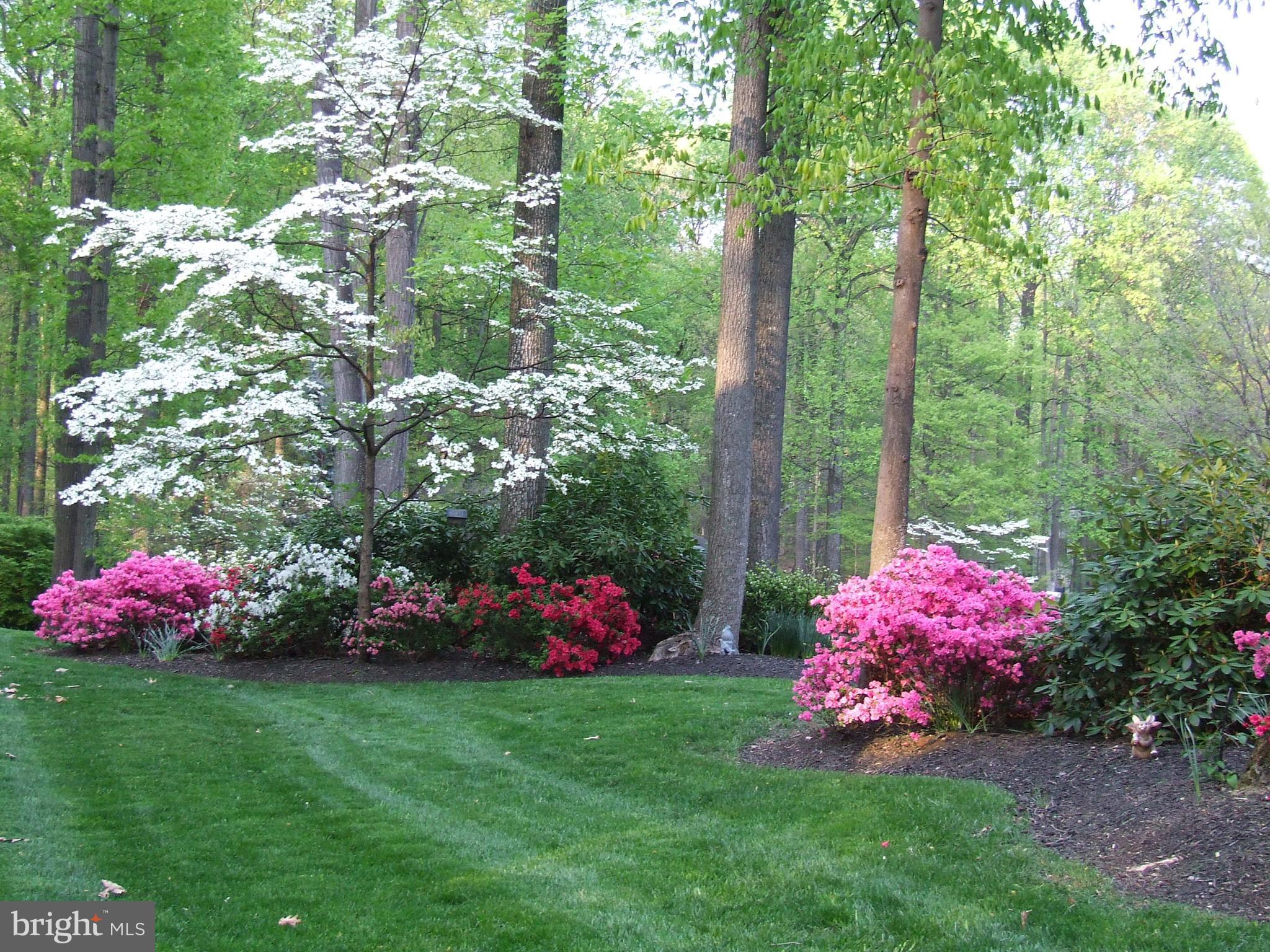 12612 Timber Grove Road Reisterstown, MD 21136 - Photo 26 of 28 Nature at its best!