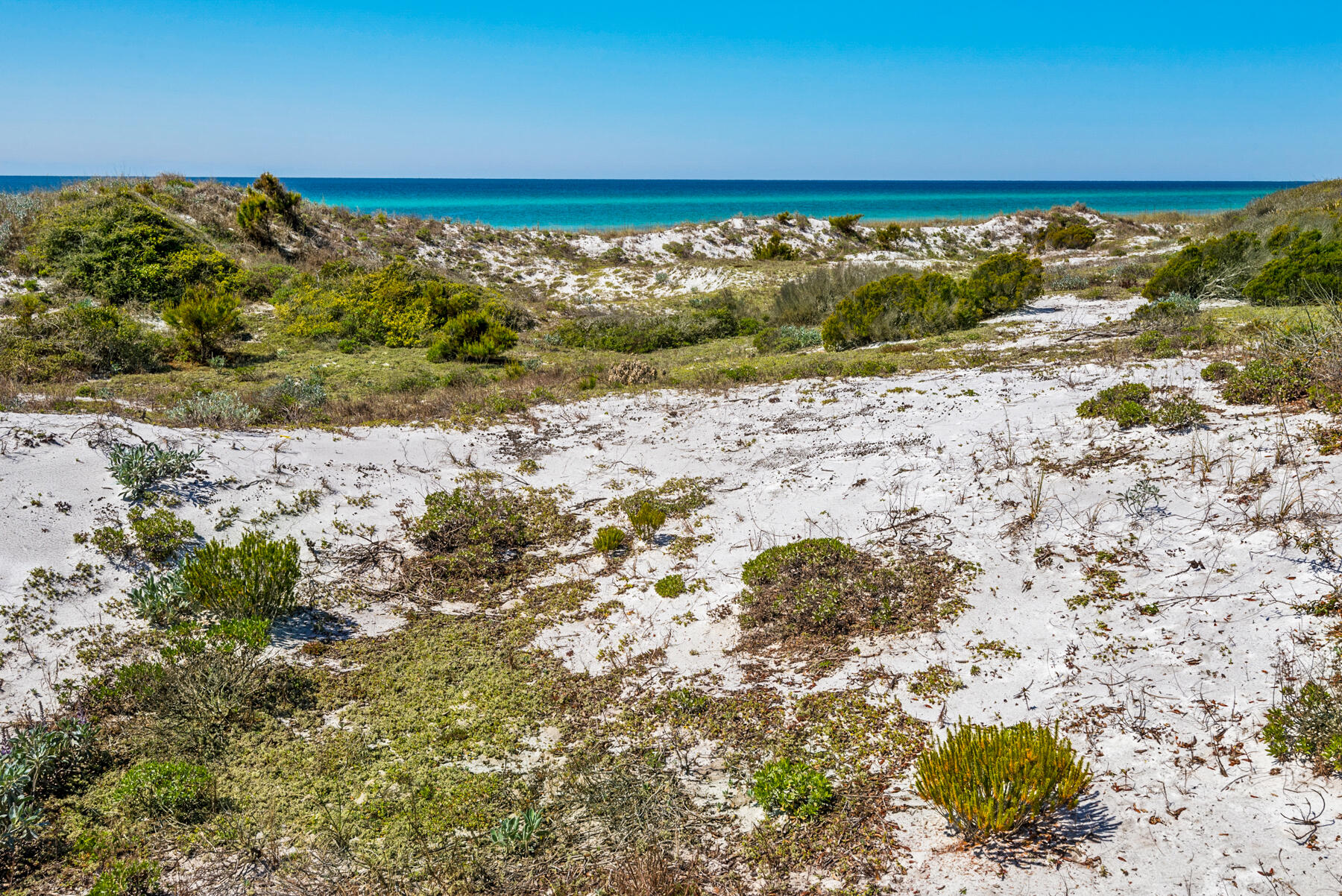 81 South Orange Street, Unit 108 Inlet Beach, FL 32461 - Photo 43 of 54 InletDunes_20190401_010