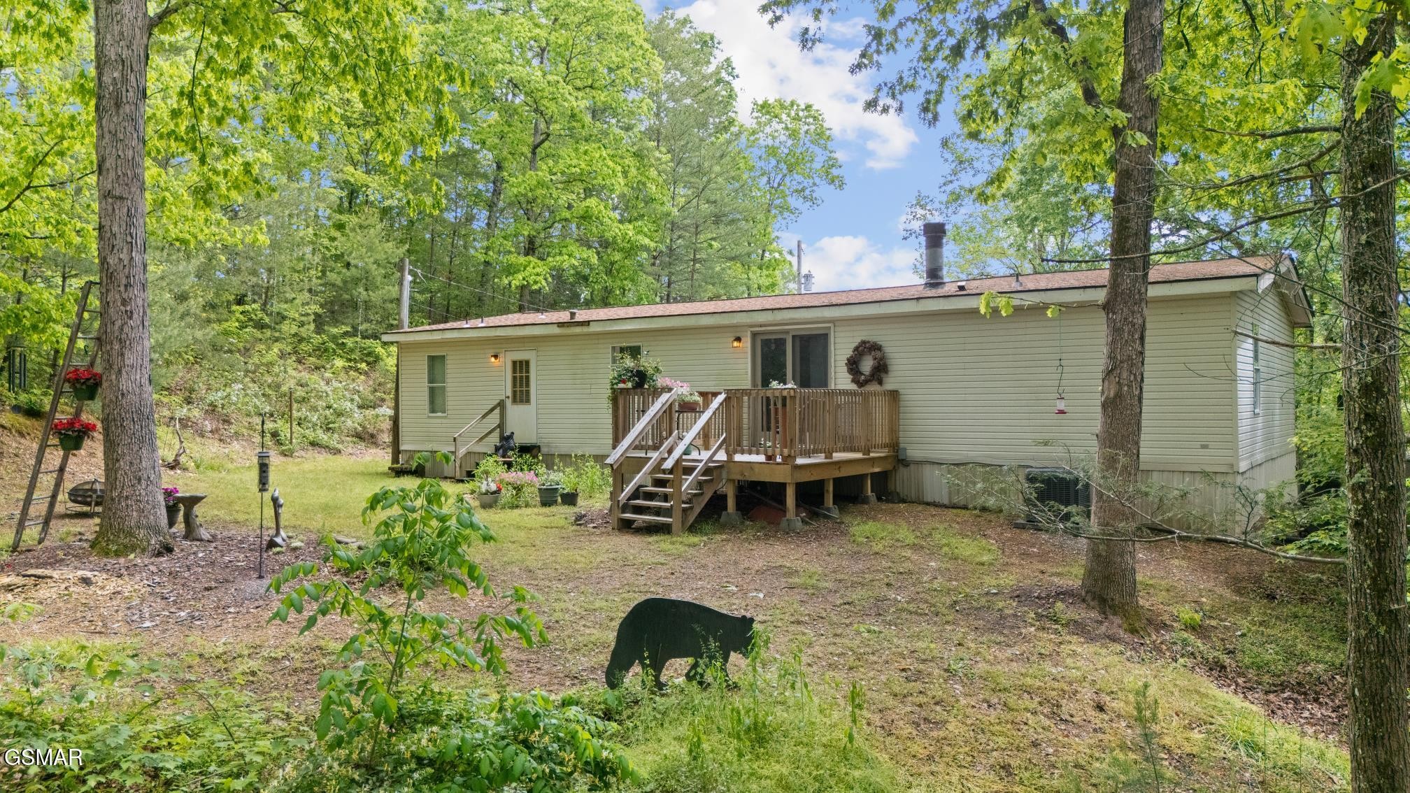 4909 Bogard Road Cosby, TN 37722 - Photo 4 of 23