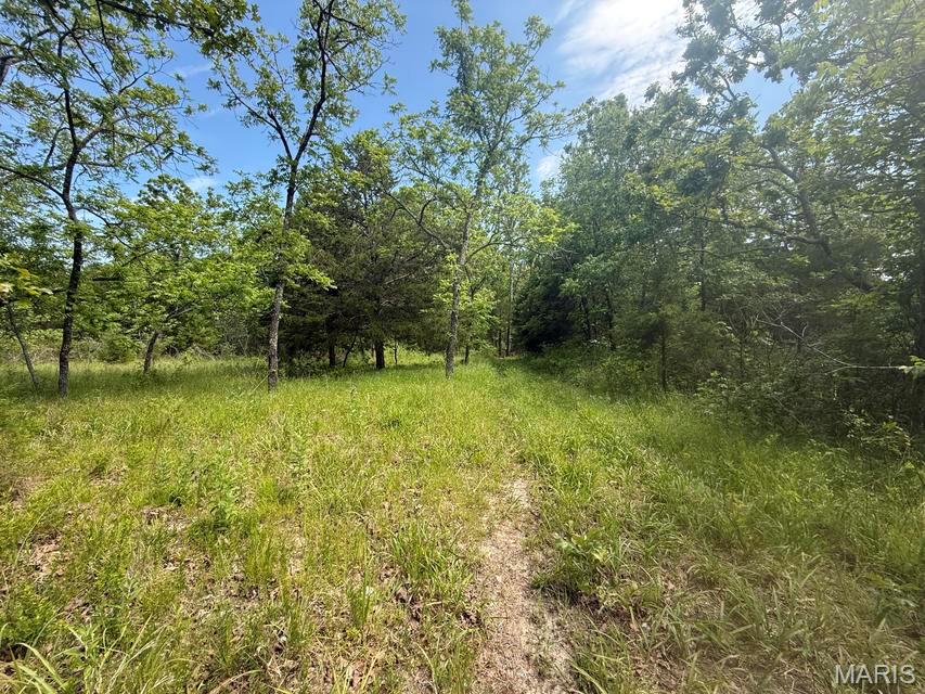 0 Bailey Road Licking, MO 65542 - Photo 29 of 33 Gallery Image 29