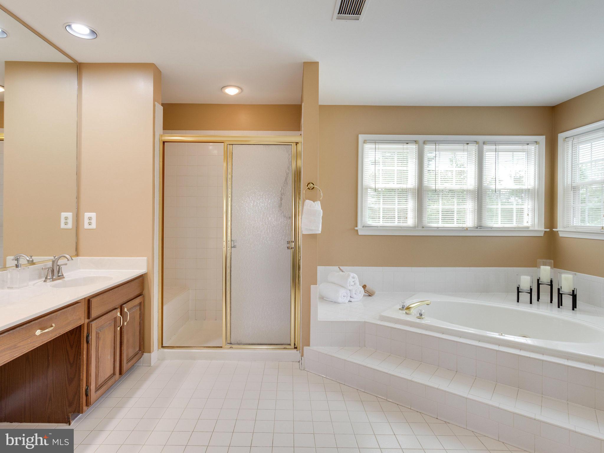 6564 Forsythia Street Springfield, VA 22150 - Photo 18 of 30 a spacious bathroom with a tub sink and mirror