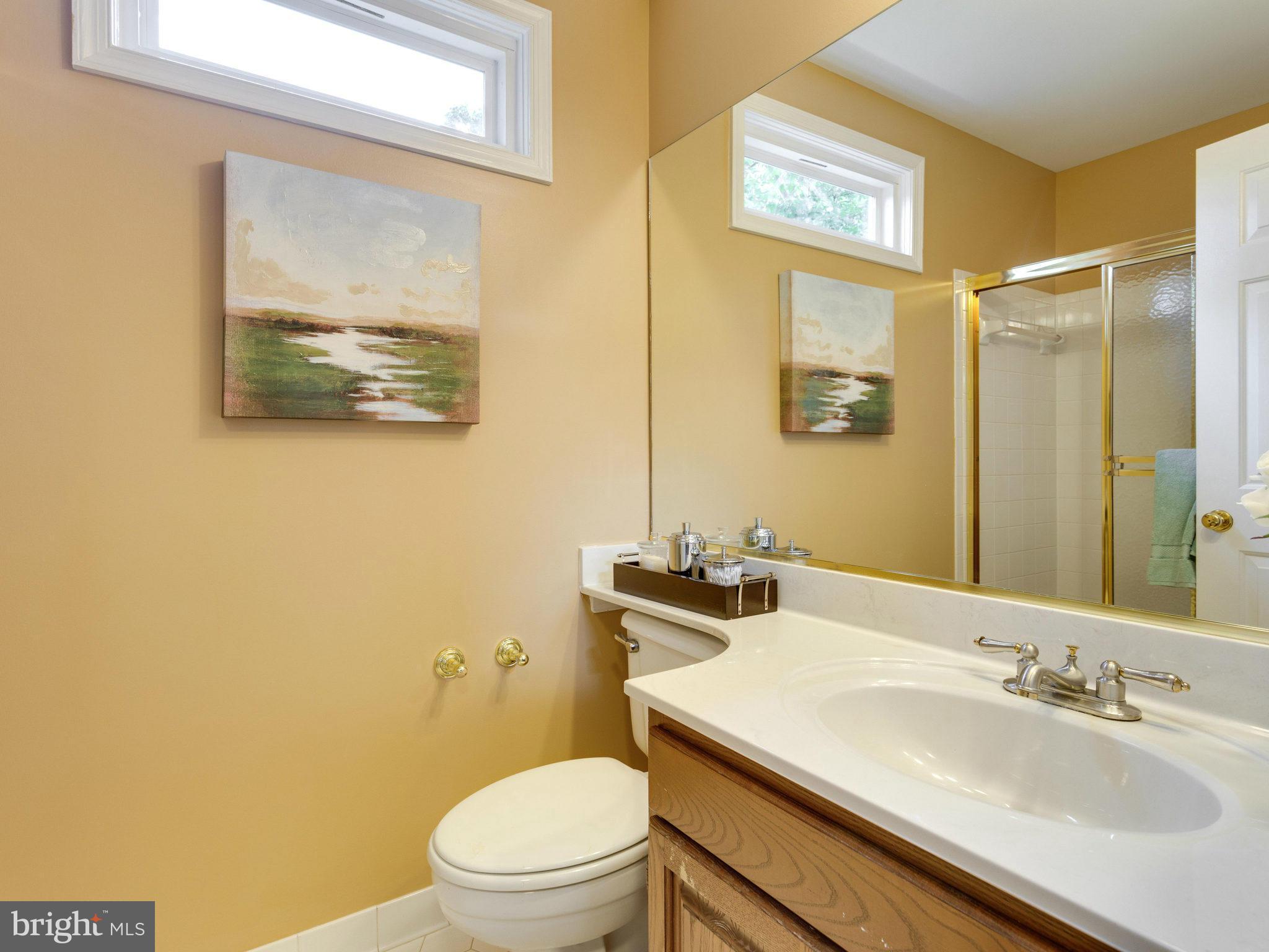 6564 Forsythia Street Springfield, VA 22150 - Photo 24 of 30 a bathroom with a sink a toilet and shower