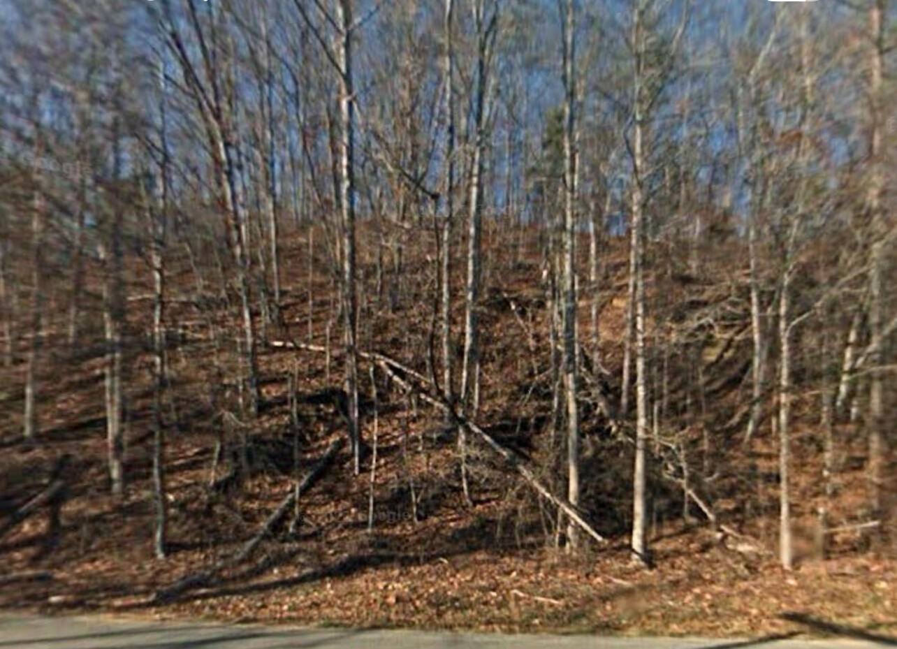0 Shiloh Road Decatur, TN 37322 - Photo 1 of 9