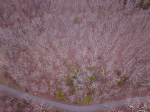 0 Shiloh Road Decatur, TN 37322 - Photo 7 of 9