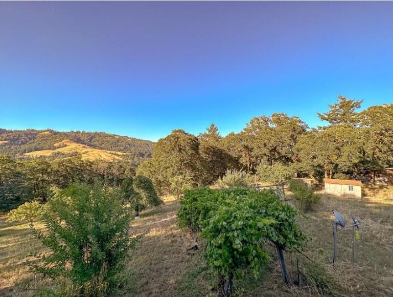 3830 Thomas Road Miranda, CA 95553 - Photo 5 of 82