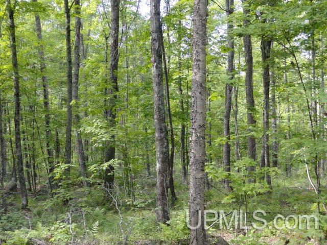 Tbd Norway Lake Road Sidnaw, MI 49961 - Photo 9 of 17
