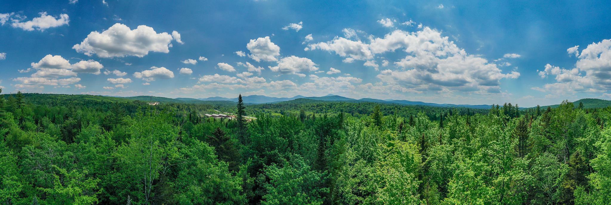 406-003 West Forest Lake Road Bethlehem, NH 03574 - Photo 12 of 19 Gallery Image 12