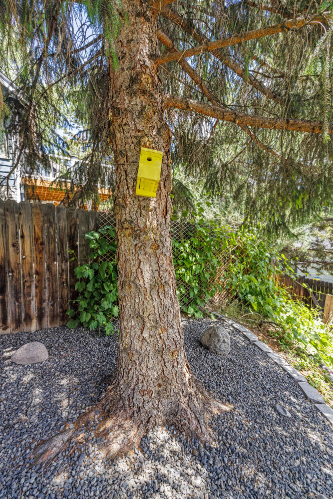 111 Ridgecrest Drive Klamath Falls, OR 97601 - Photo 50 of 78 111RidgeCrestDr.-12
