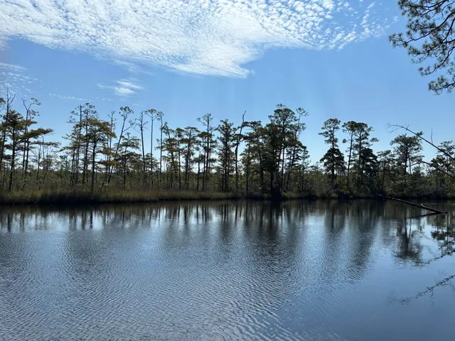 $15,000 | 0 Portland Park Road, Freeport, FL 32439