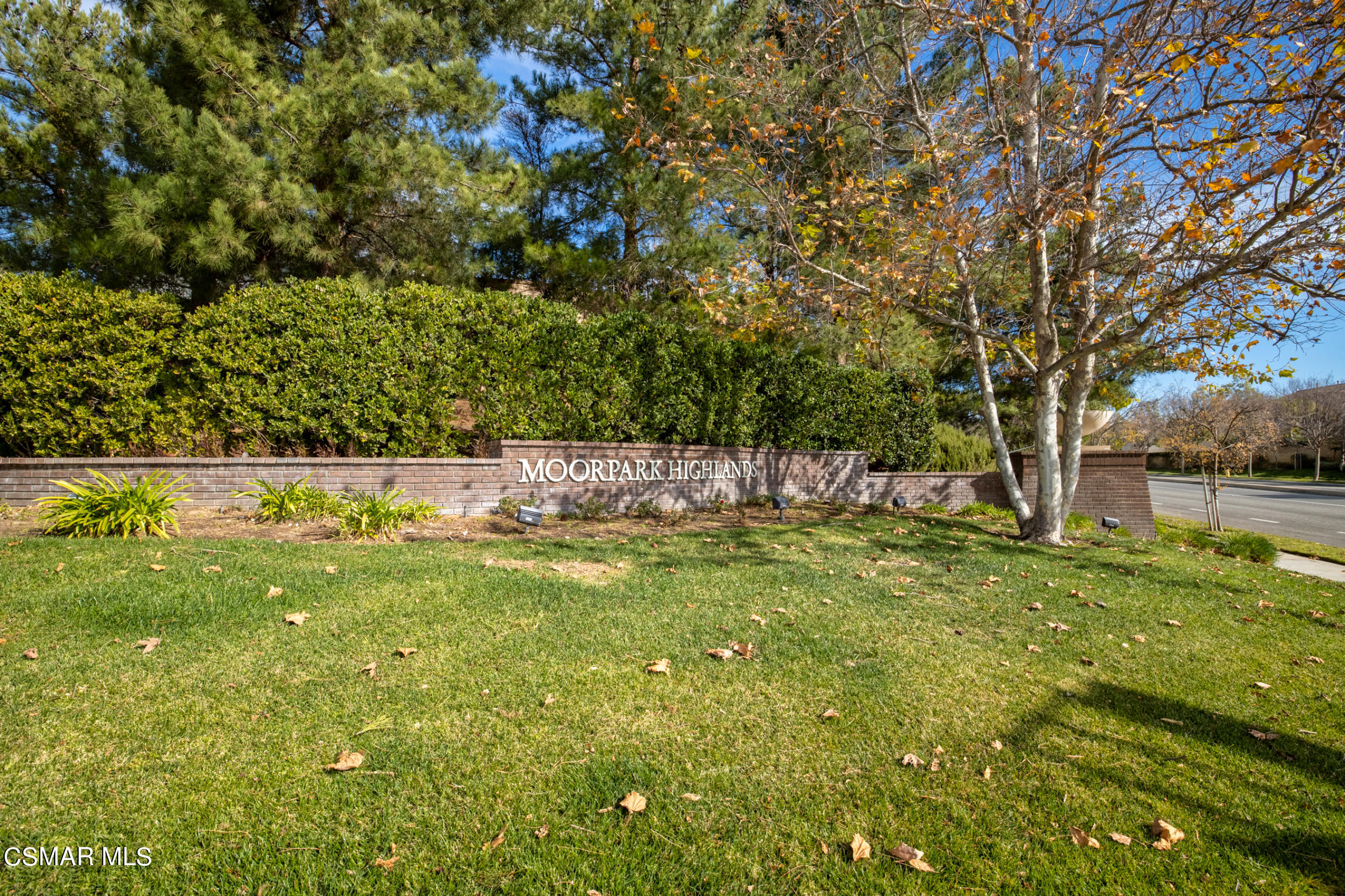 6825 Simmons Way Moorpark, CA 93021 - Photo 23 of 24 a view of swimming pool with a yard
