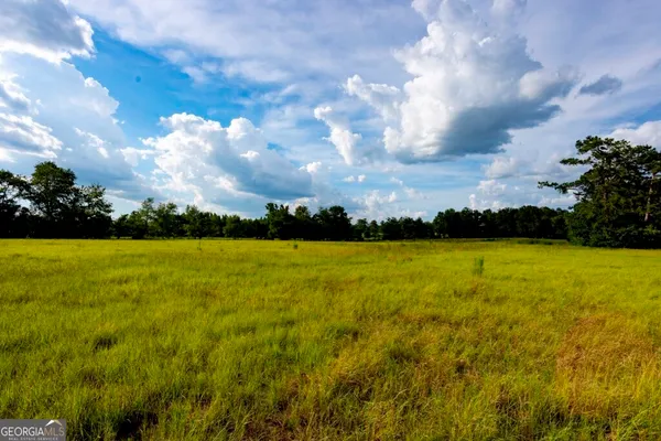 a view of a grassy field with trees in the background