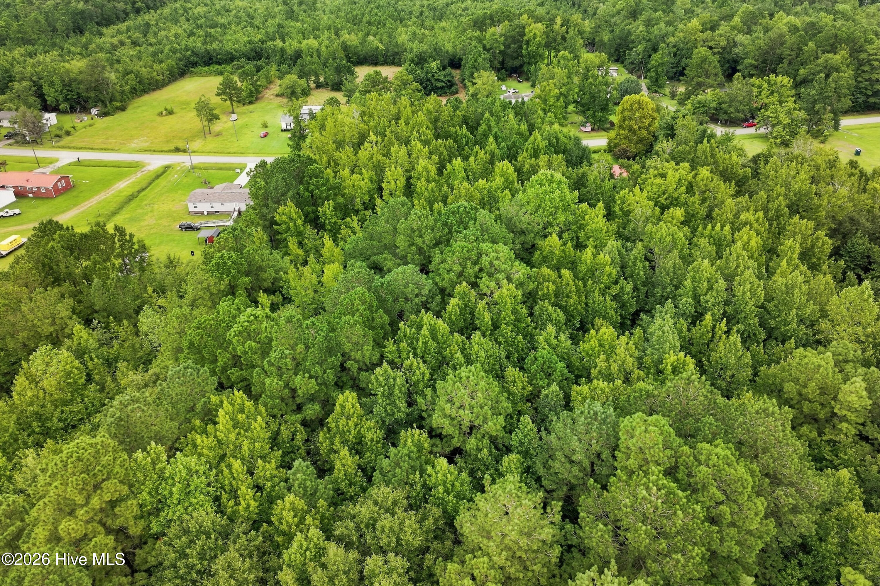 711 Lee Road Maple Hill, NC 28454 - Photo 7 of 15 Gallery Image 7