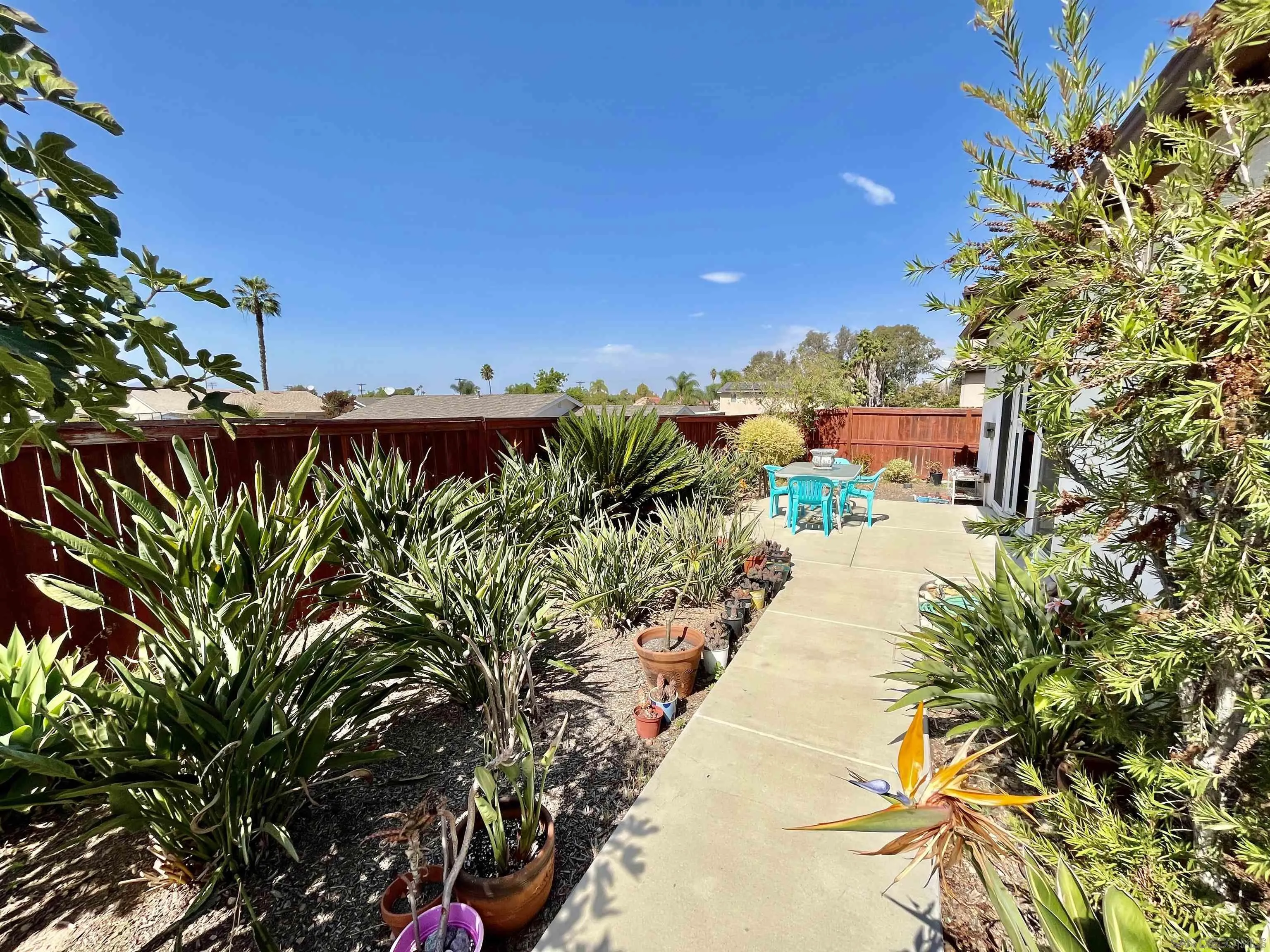 888 Rancho Terrace Ct. El Cajon, CA 92019 - Photo 33 of 34 a view of a yard with plants and trees