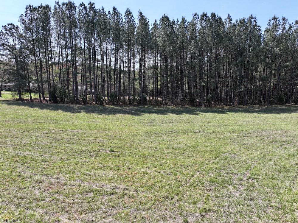508 New Lebanon Church Road Reidsville, NC 27320 - Photo 14 of 35