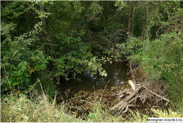 Turkey Ridge, Unit 11 Ragland, AL 35131 - Photo 14 of 31