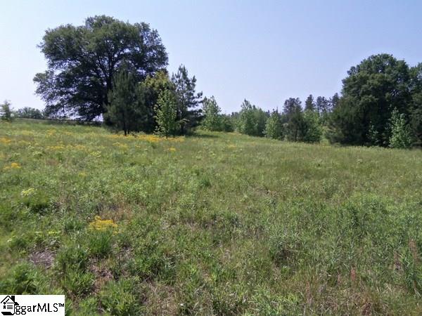 0 Century Circle Road Gray Court, SC 29645 - Photo 11 of 16