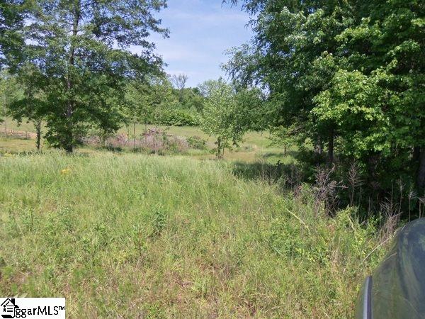 0 Century Circle Road Gray Court, SC 29645 - Photo 12 of 16