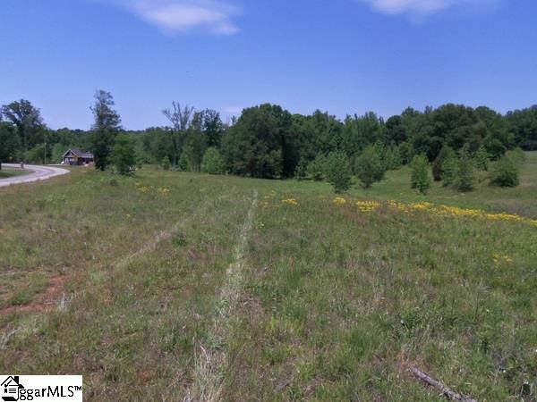 0 Century Circle Road Gray Court, SC 29645 - Photo 13 of 16