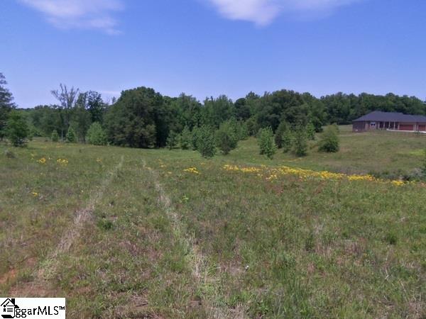 0 Century Circle Road Gray Court, SC 29645 - Photo 16 of 16