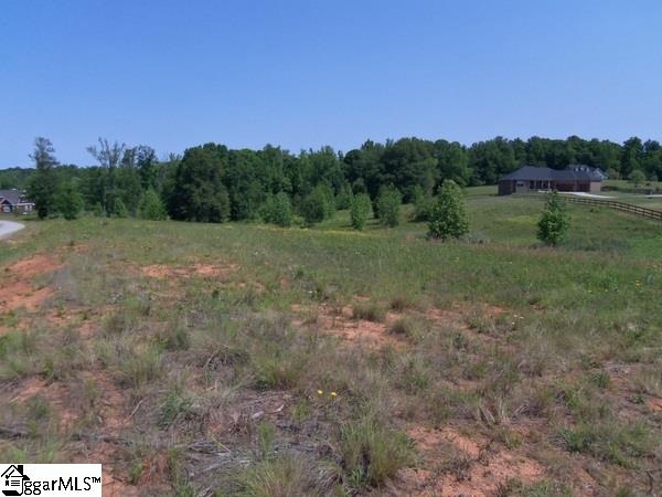 0 Century Circle Road Gray Court, SC 29645 - Photo 3 of 16